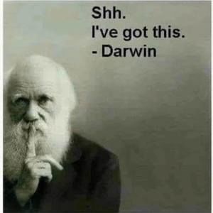 Meet your Posher, Hank